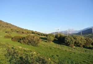 Sector eólico en España